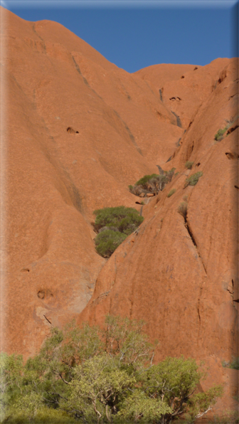 foto Parco nazionale Uluru Kata Tjuta